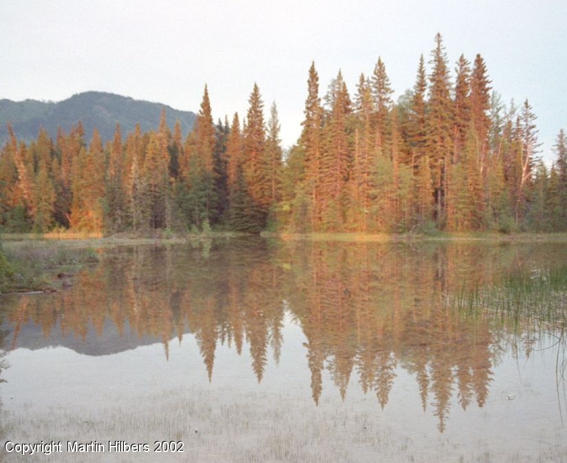 Alaska Highway : Coal River - Liard Hot Springs / Lake at Liard Hot Springs. Click to see full size image