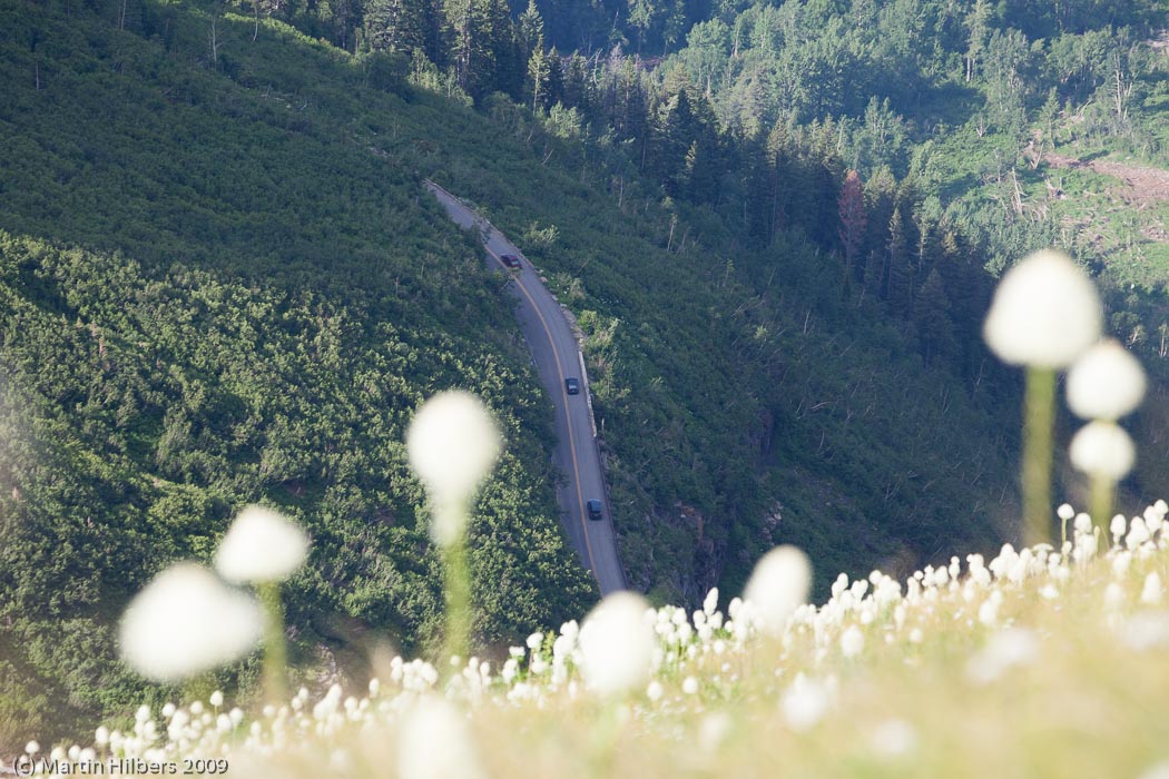 Jasper-Banff-Waterton-Glacier: 18 Jul: Highline Trail Hike / Beargrass and Going to the Sun Road. Click to see full size image