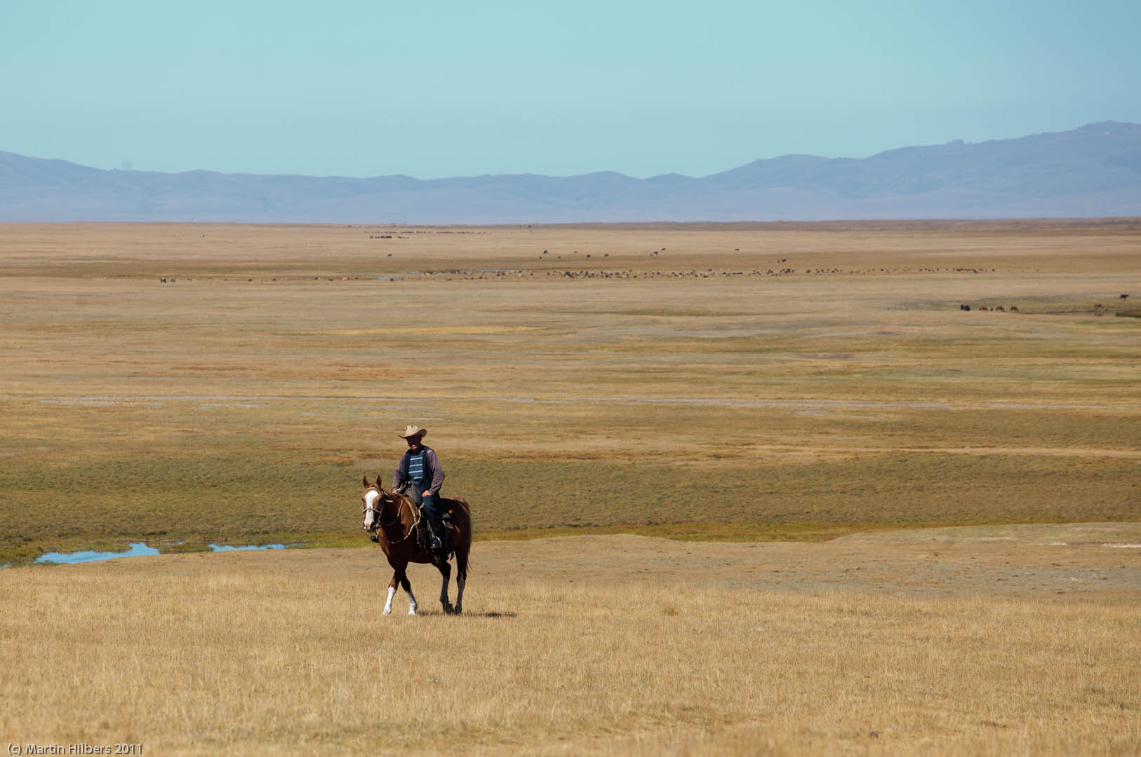 Kyrgyzstan: 1/9 Song Kul - Keng Suu - (Kochkor) / Kyrgyz cowboy. Click to see full size image