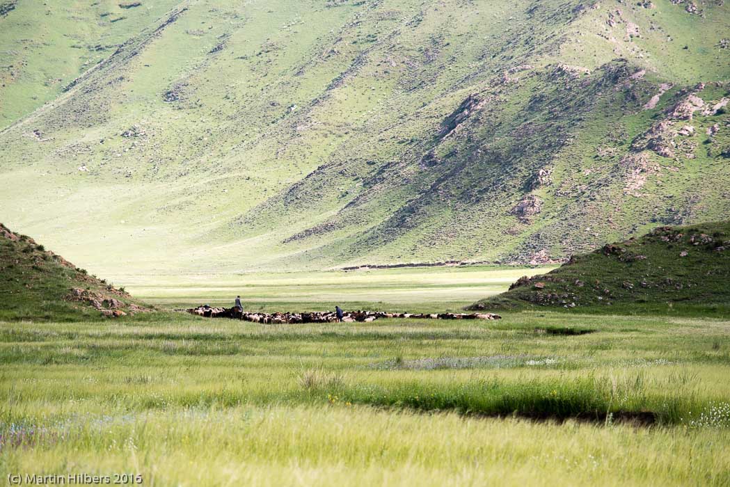 Kyrgyzstan: 28/06 Kochkor - Yurt camp near Tuura Su / Shepeherds near Yurt camp. Click to see full size image