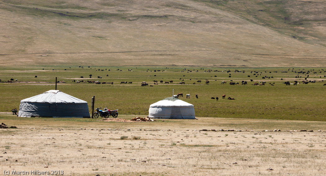Mongolia: 10/6 Tsetserleg - Kumirnya Tusukhaley / Gers and a few horses. Click to see full size image