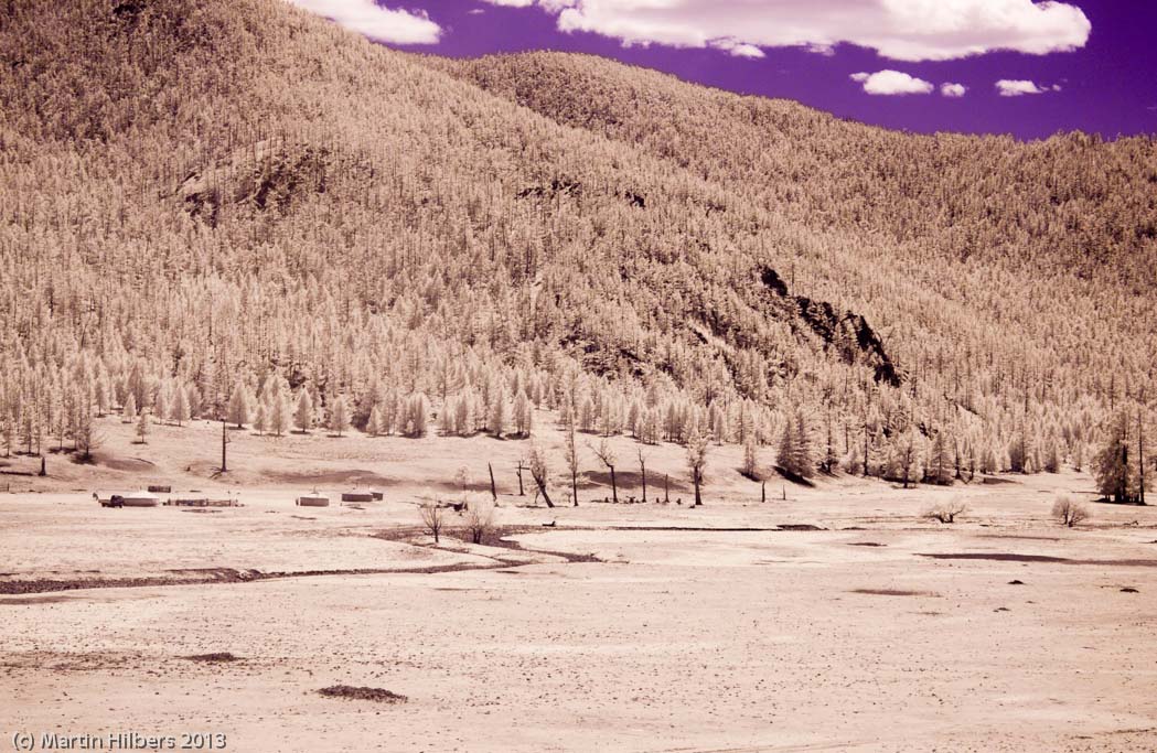 Mongolia: 10/6 Tsetserleg - Kumirnya Tusukhaley / Gers at the river (IR). Click to see full size image