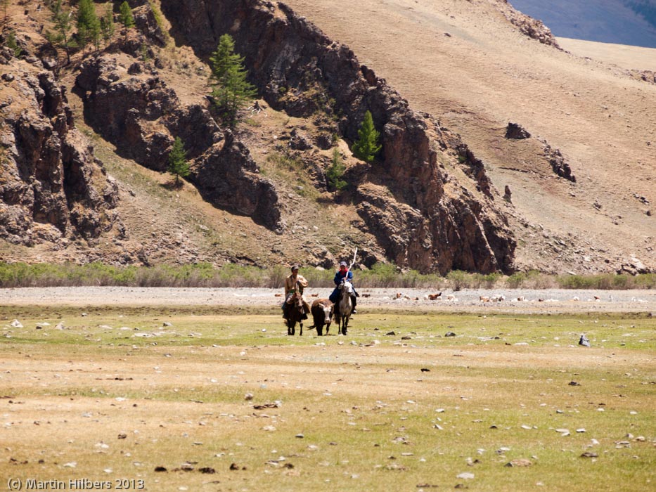 Mongolia: 12/6 Khangai Mountains Pass - Erdenetsogt / Bringing in the lost cow. Click to see full size image