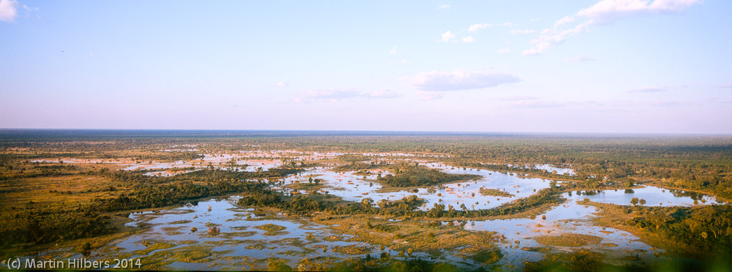 Victoria Falls - Cape Town: 23/5 Moreni - Maun / Okavanga Delta. Click to see full size image