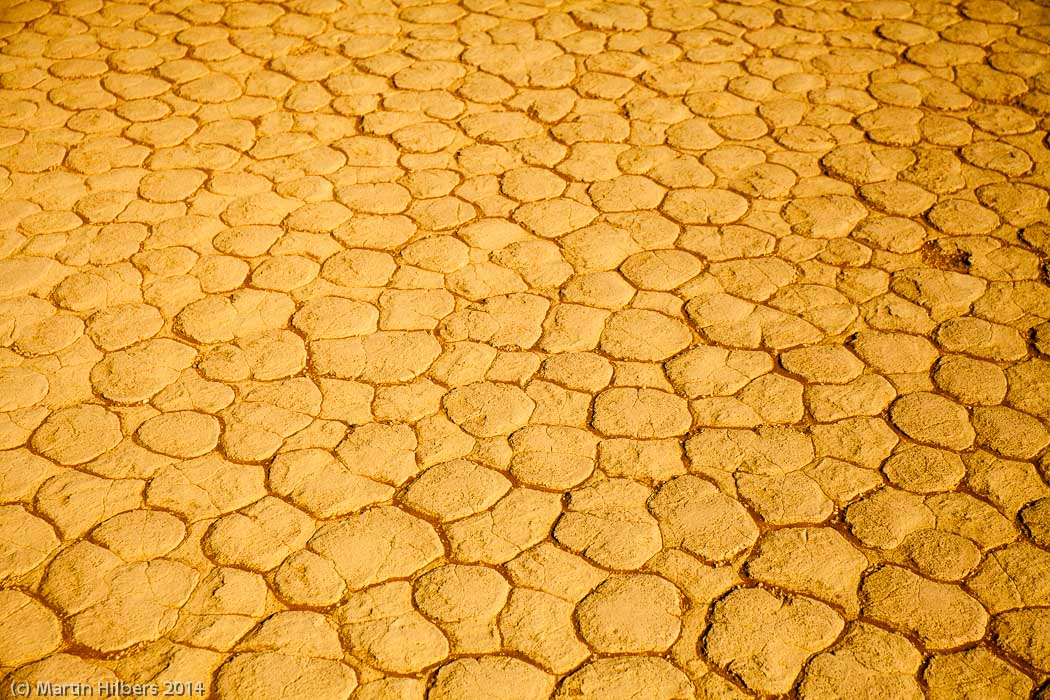 Victoria Falls - Cape Town: 28/5 Sosus Vlei / Dead Vlei floor. Click to see full size image
